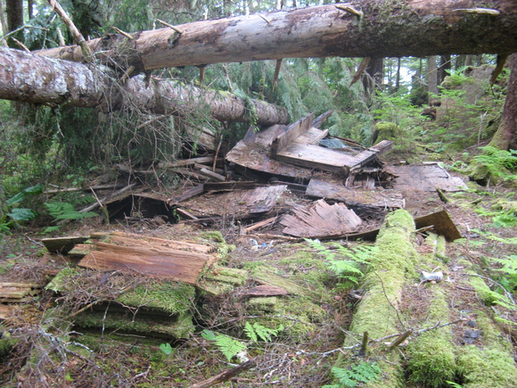 A Cabin Crushed